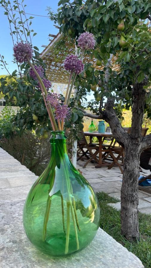 Bio&B Acquaviva Bed & Breakfast โอตรันโต ภายนอก รูปภาพ